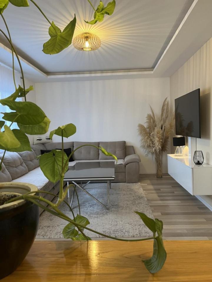 הוילה מוסטר Skywalk House מראה חיצוני תמונה